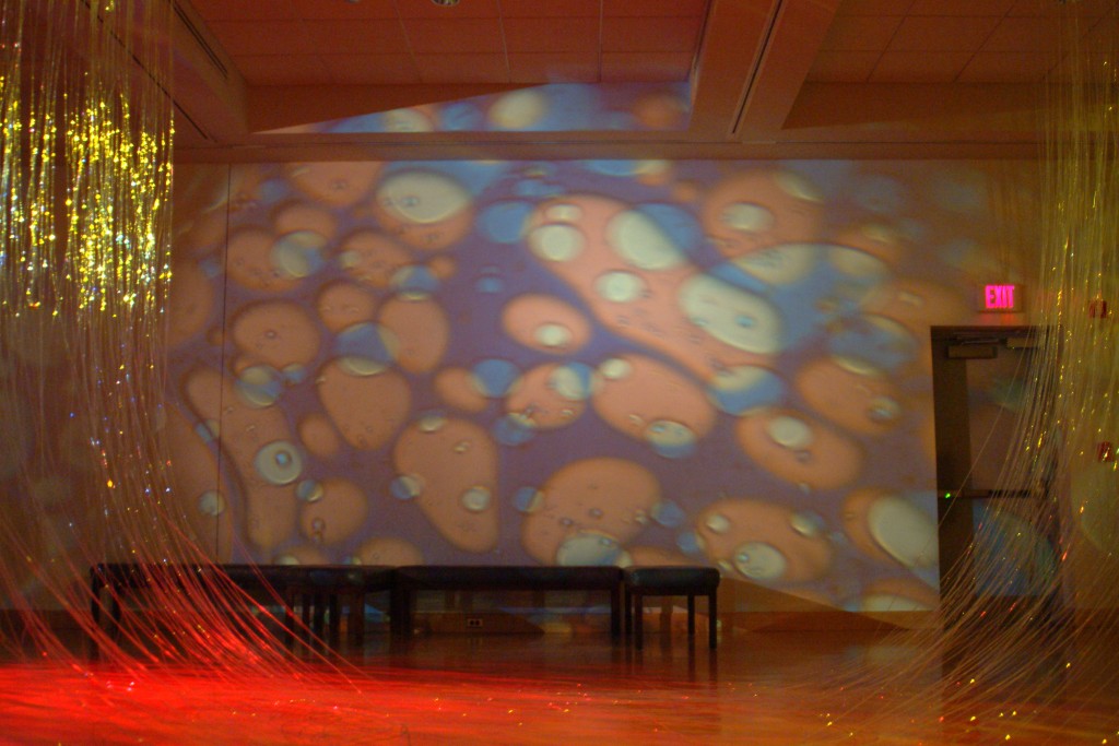 Of Liquid And Light Installation Salisbury University 